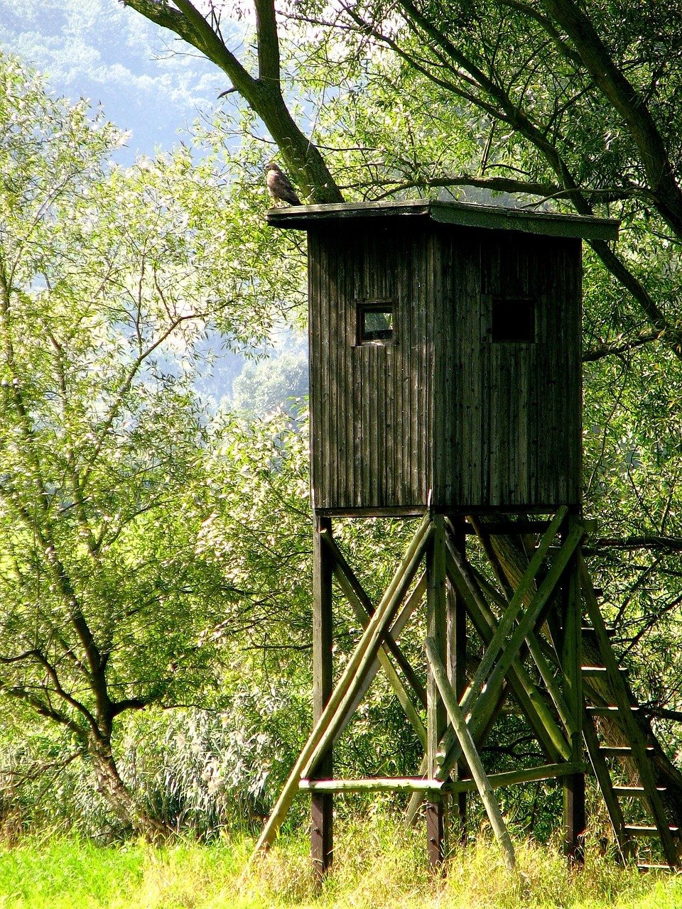 high seat, hunt, forest, hunter's stand, hunter seat, high standing, hunting seat, hunting stand, to hunt, outlook, nature, shoot, wooden tower, stalking equipment